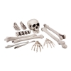 Set huesos 12 pc