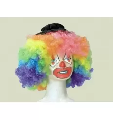 Perruque clown multicolore