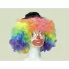 Clown multicolor wig