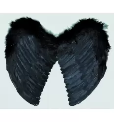 Alas angel plumas negras