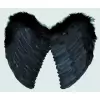 Ailes ange plumes noires