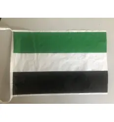 Bandeirola de plástico da Estremadura dupla face