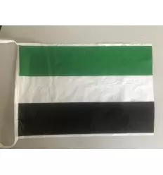 Pack 2 Bandera de plastico extremadura