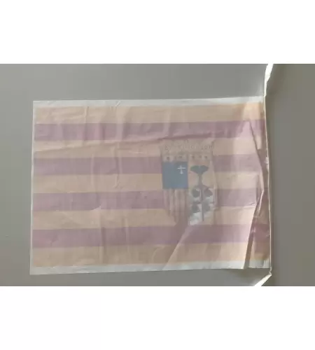 Pack 2 Bandera de plastico de aragon