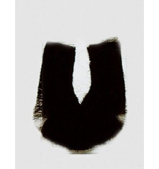 Patillas par