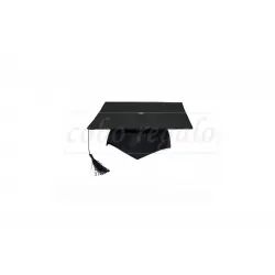 Academic adult cap