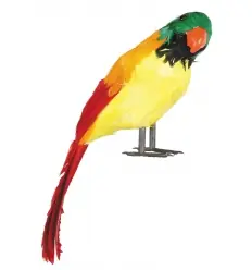 PARROT PIRATA