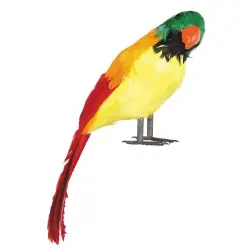PARROT PIRATA