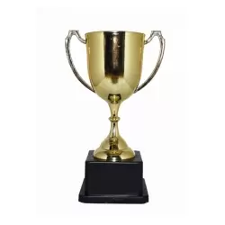 copy of TROFEO ESTATUILLA DORADA 23 CM