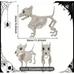 ESQUELETO PERRO 23X31 CM