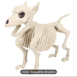 Esqueleto de cão 23x31 cm 2