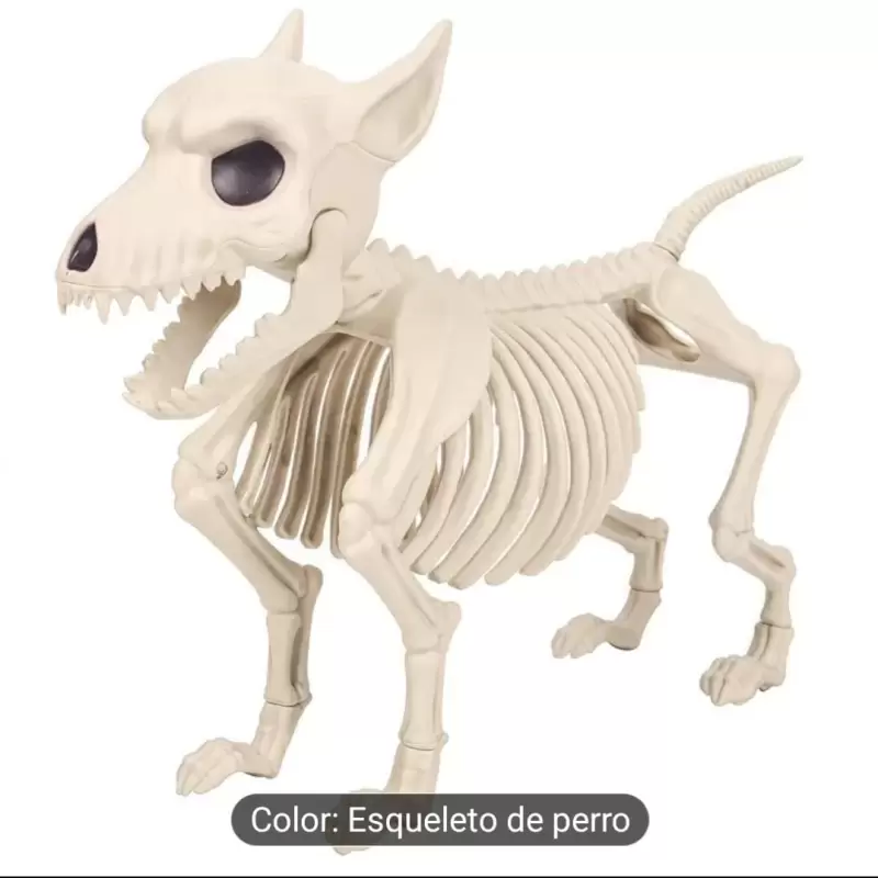 ESQUELETO PERRO 23X31 CM