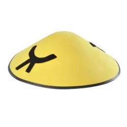 Chinese felt hat