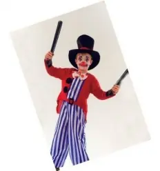PalhaÇo cartola costume