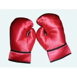 Boxhandschuhe
