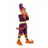 Elf livast kids costume