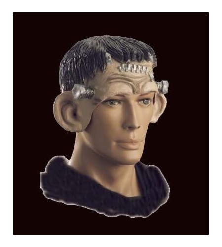 Frankenstein rubber mask - Your Online Costume Store