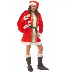Mrs. santa costume