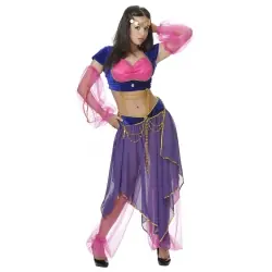 Arabian dancer ladies costume