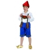 Dutch/tulip boy costume