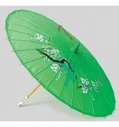 Chinese umbrella