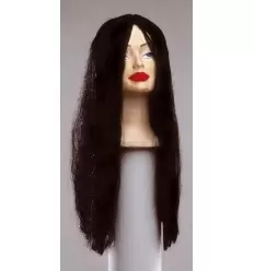 Smooth long hair wig