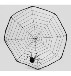 Spidernet with spider