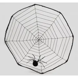Spinnengewebe