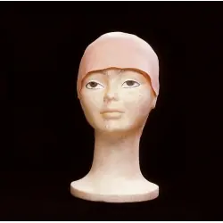 CrÂne chauve sans cheveux