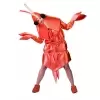 Adult costume gamba