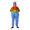 Obelix the gaul costume