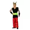 Viking asterix men costume