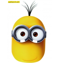 MASCARA KEVIN