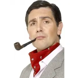 PIPA INVESTIGADOR