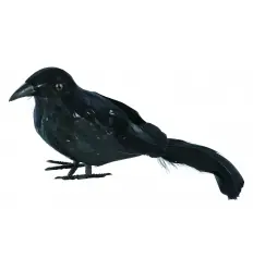CUERVO DE PLUMAS