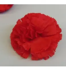 CLAVEL GRANDE CLIP 2