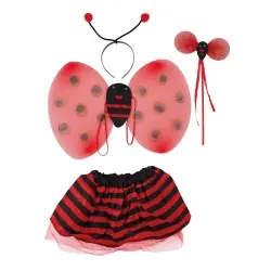 Conjunto de joaninha
