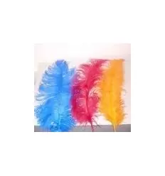 Plume floos 35-40 cm. sac 3 unités.