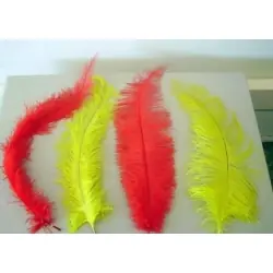 Spadon feather 55 cm.