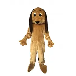 Mascota perro