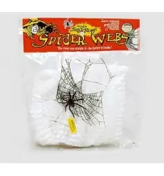 Spider web with a plastic spider