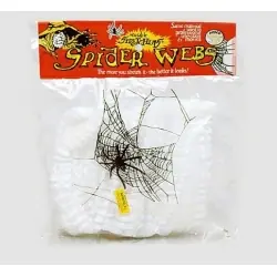 Spider web with a plastic spider