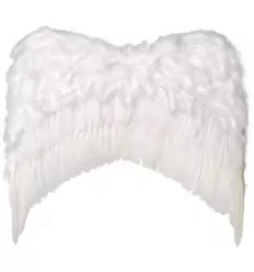 Ailes ange plumes