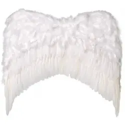 Ailes ange plumes